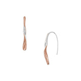 Ladies' Earrings Skagen SKJ1587998-0