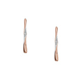 Ladies' Earrings Skagen SKJ1587998-2