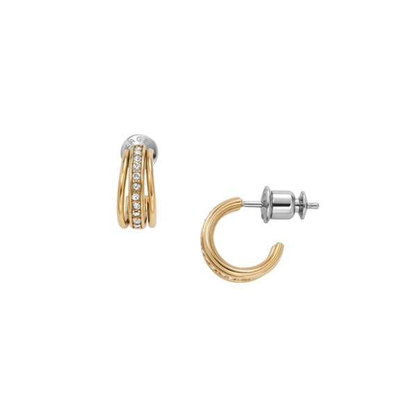 Ladies' Earrings Skagen SKJ1610710-0