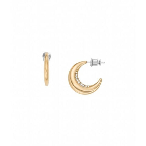 Ladies' Earrings Skagen SKJ1611710-0