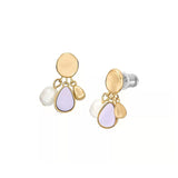 Ladies' Earrings Skagen SKJ1716710-0