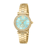 Ladies' Watch Just Cavalli VARENNA 2023-24 COLLECTION (Ø 30 mm)-0