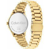 Ladies' Watch Calvin Klein-2