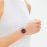 Ladies' Watch Calvin Klein-2