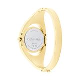 Ladies' Watch Calvin Klein 25200-2