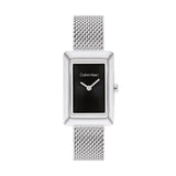 Ladies' Watch Calvin Klein 2520039-0