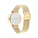 Men's Watch Calvin Klein 25200403 Golden-3