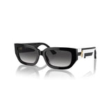 Ladies' Sunglasses Jimmy Choo JC 5017-0