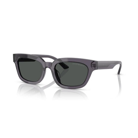 Ladies' Sunglasses Emporio Armani EA 4233U-0