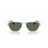 Men's Sunglasses Burberry BE 3146-1