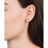 Ladies' Earrings Viceroy 75200E01012-1