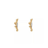 Ladies' Earrings Skagen SKJ1773710-2